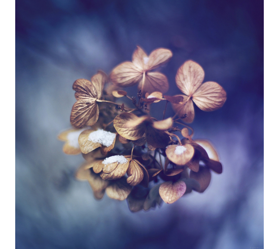 Quá tuyệt vời luôn